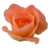 Rose peach 2 Icon